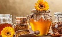 Съюзът на шуменските пчелари ще открие изложба
