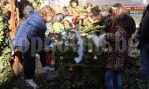 Горското във Варна продава живи елхички с благотворителна цел