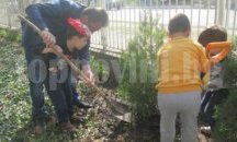 Ученици от Враца засаждат 100 фиданки