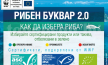 Макет на кит и Рибен буквар разясняват как да избираме морска храна в Екомузея в Русе