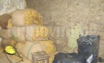 Неутрализираха престъпна група, търгуваща нелегално с тютюн в Бургаска област