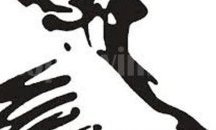150 двойки спорят за отличия на държавното първенство по спортни танци в Бургас