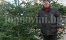 Коледните дръвчета в Шумен са между 25 и 100 лева