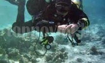 Подводно коледно парти организират бургаските водолази