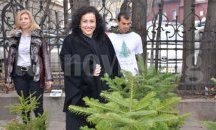 Кампанията „Купи жива елхичка, помогни на дете“ събра 15 000 лв.
