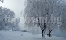 Жълт код за силен вятър и опасност от снегонавявания е обявен за Русенско