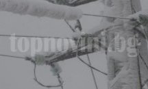 607 населени места в страната са без ток, трите ЕРП-та работят по отстраняване на авариите