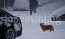 Здравко Здравков: В София категорично няма да се строи в паркове и места за озеленяване