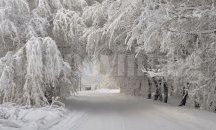Четири села в община Хитрино са напълно откъснати