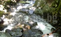 Зелени късове лед в река Бистрица