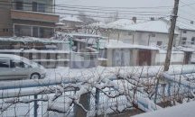 Отменено е частичното бедствено положение в Община Първомай