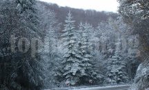 Отмениха бедственото положение в община Венец