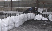 Цената на въглищата скочи