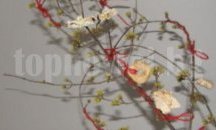 Ромски деца ще сурвакат кмета на Шумен