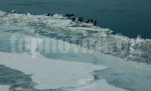 Забранява се преминаването и движението по замръзнали водни площи в община Русе