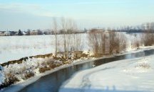 Над 30 вида водолюбиви птици са преброили орнитолози в Плевен и Ловеч
