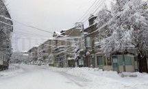 Осем акта за непочистени тротоари са съставени в Шумен