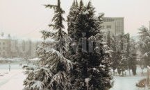 Препоръчват по-ниска скорост по пътищата в старозагорска община