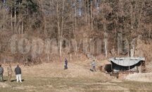 Пореден горски шеф уволнен в Пиринско
