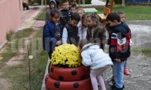 Детските градини и ясли в община Приморско стават безплатни