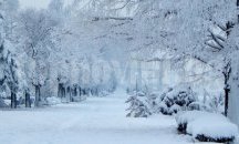 Жълт код за ниски температури е обявен за Русенско
