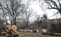 Горските към Североизточно държавно предприятие съставиха 36 акта за седмица