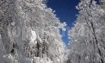 Обявени са конкурсите в кампанията „За чиста околна среда“