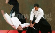 Църквата търси окултни и сектантски аспекти в бойните изкуства