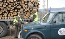В област Добрич са установени над 660 кубика незаконно добита дървесина