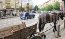 Регистрират конските каруци в Благоевград