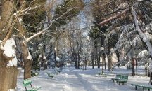 Глобиха фирми за некачествено снегопочистване в Стара Загора