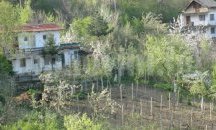 Одобрени са планове на новообразувани имоти в общини Шумен и Велики Преслав