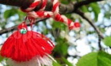 Събират мартенички за общински конкурс