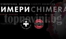 Благотворителна изложба набира средства за бездомни животни