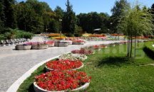 София ще инвестира 4 млн. лева повече за озеленяване тази година