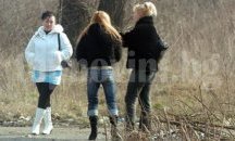 В Плевен са регистрирани три нови случая на сифилис за седмица