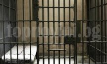 Една година затвор за изпълнителния директор на "Озеленяване" ЕАД