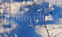 Остава топло за февруари със слаб вятър