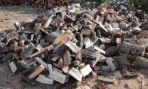 Полицията залови бракониери, изсичали плодни дървета в Плевен