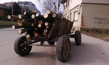Над 400 проверки за броени дни са направили горските от Североизтока