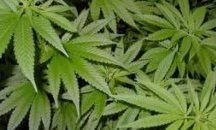 Грузия празнува отмяната на визите за ЕС