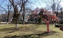 В Нова Загора превърнаха дърво в мартеница