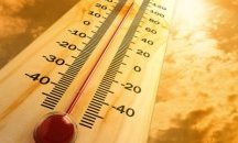 Жълт код за опасни горещини в 16 области в България