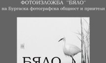 Бургаски фотографи показват в изложба всички нюанси на бялото