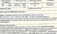 В Пловдив тровят кучета със забранена отрова