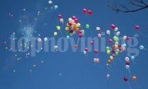 В Пловдив пускат балони за болните от редки болести