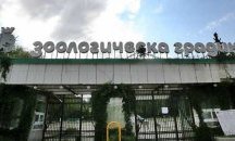 "Говорещият с кучета" Сизър Милан може да изнесе представление в столичния зоопарк