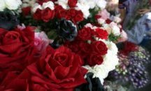 Розата остава най-купуваното цвете за 8 март