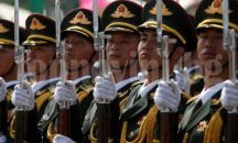 Защо китовете са толкова големи?