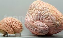 Институтът по психология на МВР организира стаж за студенти-профайлъри